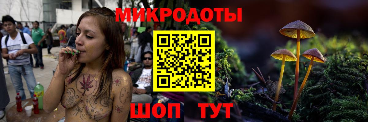 Галлюциногенные грибы Psilocybine cubensis Краснодар