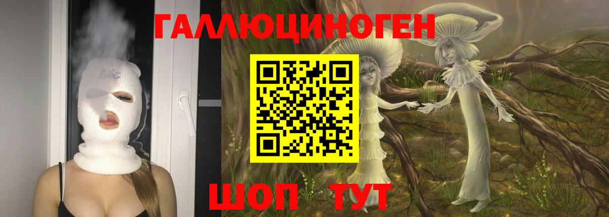 купить наркоту  Вход с VPN  Краснодар  Галлюциногенные грибы Psilocybine cubensis 